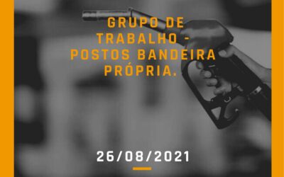 Grupo de Trabalho Melhoria da  Competitividade dos “Postos Bandeira Própria” – 2ª reunião