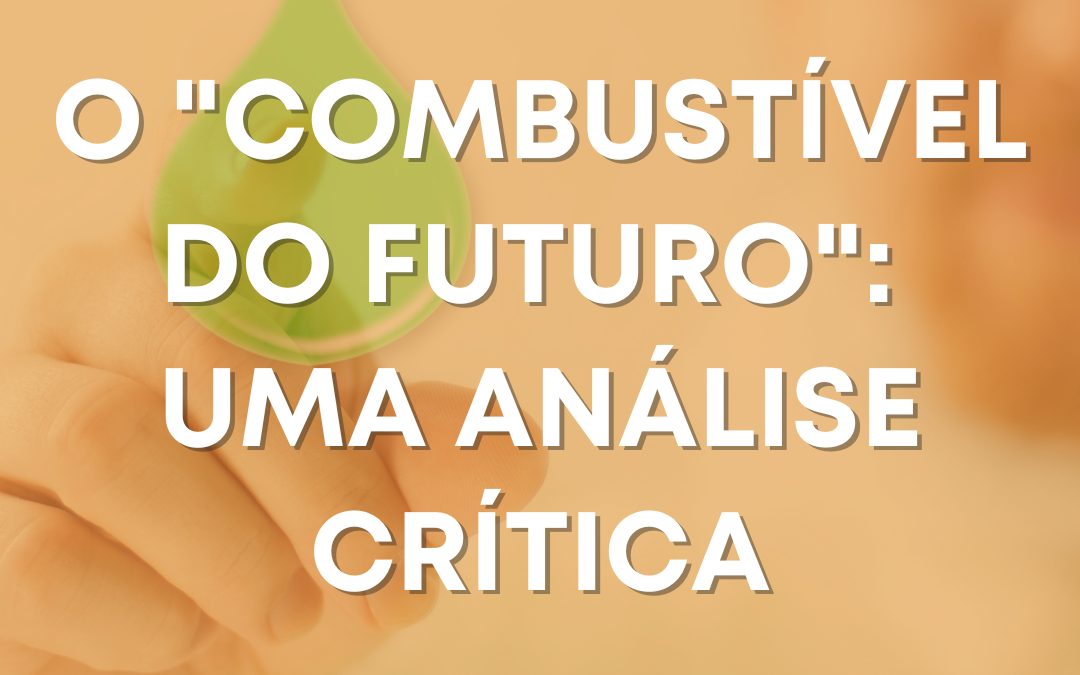 O “Combustível do Futuro”: uma análise crítica